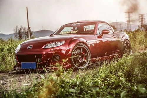 女生眼中low到爆的汽车改装 幼稚贴纸竟非第一？